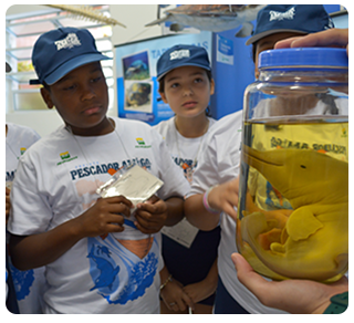 Educação ambiental